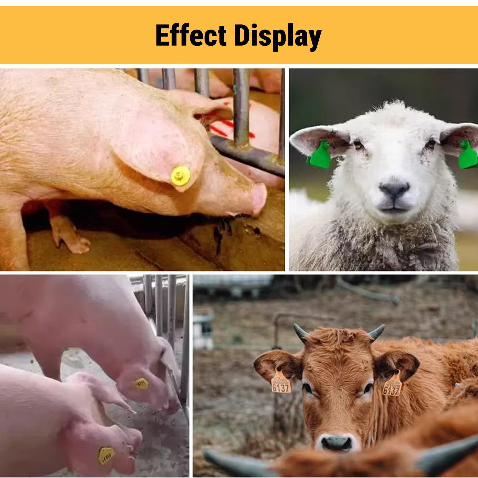 Pinza per Marche Auricolari Bovini, Bestiame Animale Marchio Auricolare Pinza per Suini Bovini Pecore, Attrezzature per Animali di Allevamento