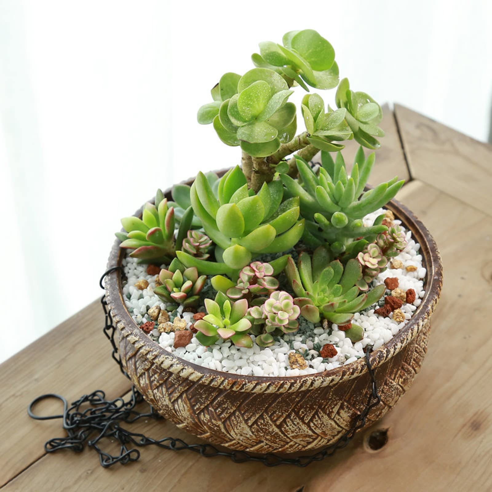 HASMI Jardiniere Balcon Porte-Plante en céramique Suspendue avec teneur en Corde Pot de Plante Suspendue for décor extérieur intérieur Pot Suspendu Plante Interieur