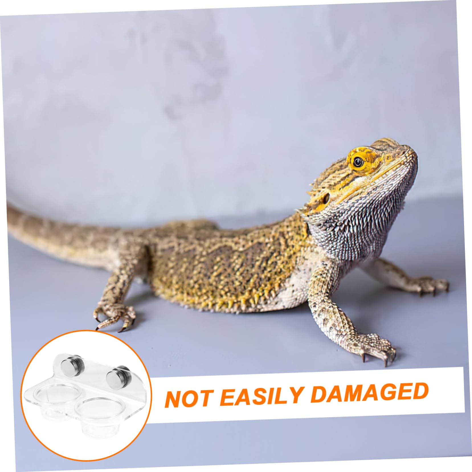 2juegos Comedero De Magnético para Reptiles Tazón De Agua y Comida para Tortugas y para Alimentación y De Limpiar y