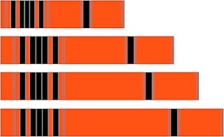 White Water Archery Fluorescent Neon Orange Black Stripes Traditional 1 Color Arrow Wraps 15Pc (7, 1.12)