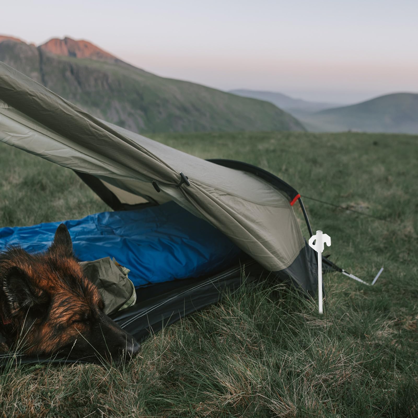 Camping Zubehör mit Robusten Zeltheringen und Windschutzseil Praktischem Pe Hammer und Aufbewahrungstasche Wetterfeste Zeltnägel für Harten Boden und Strand für Outdoor Camping