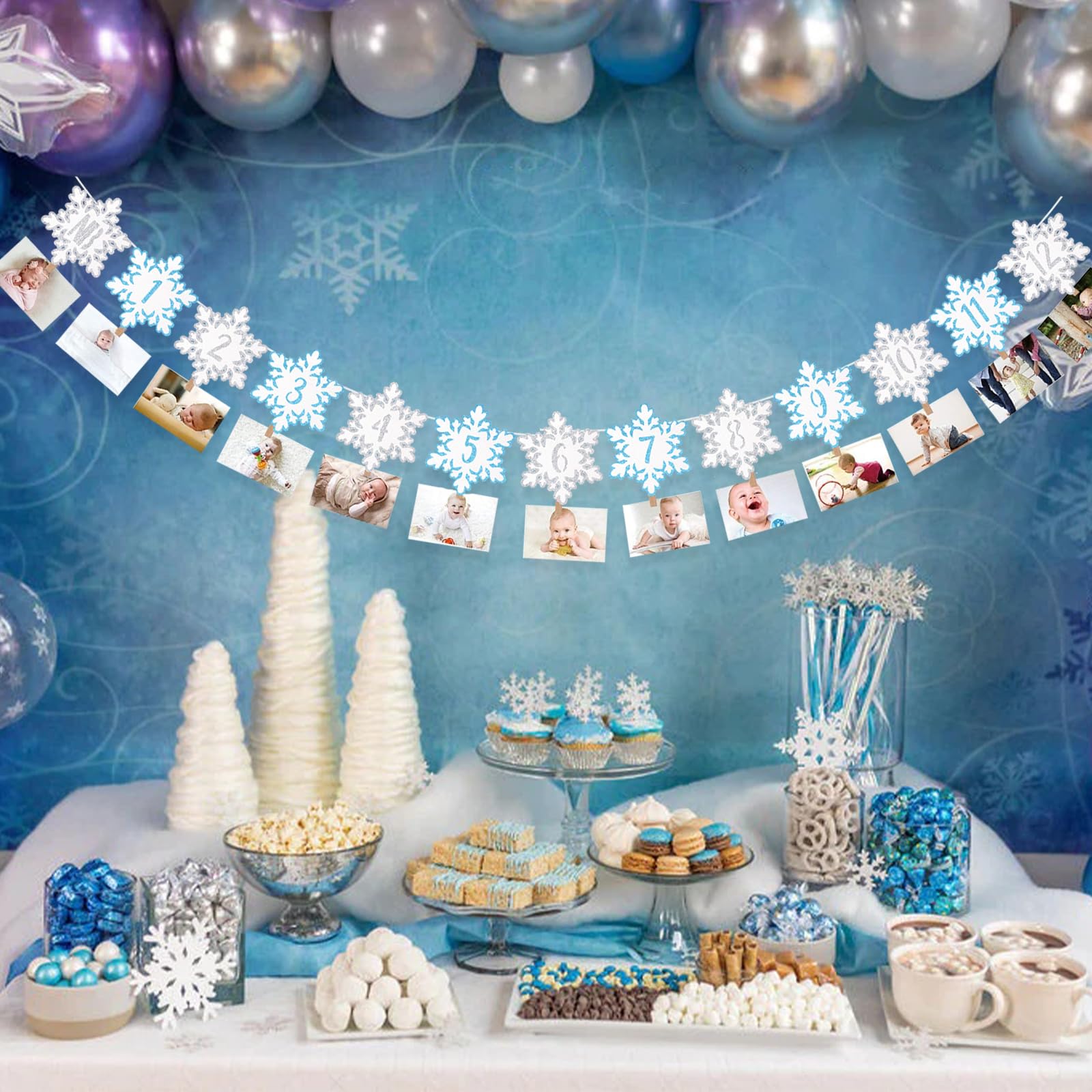 Winter Snowflake 12 Month Photo Banner First Birthday Party...