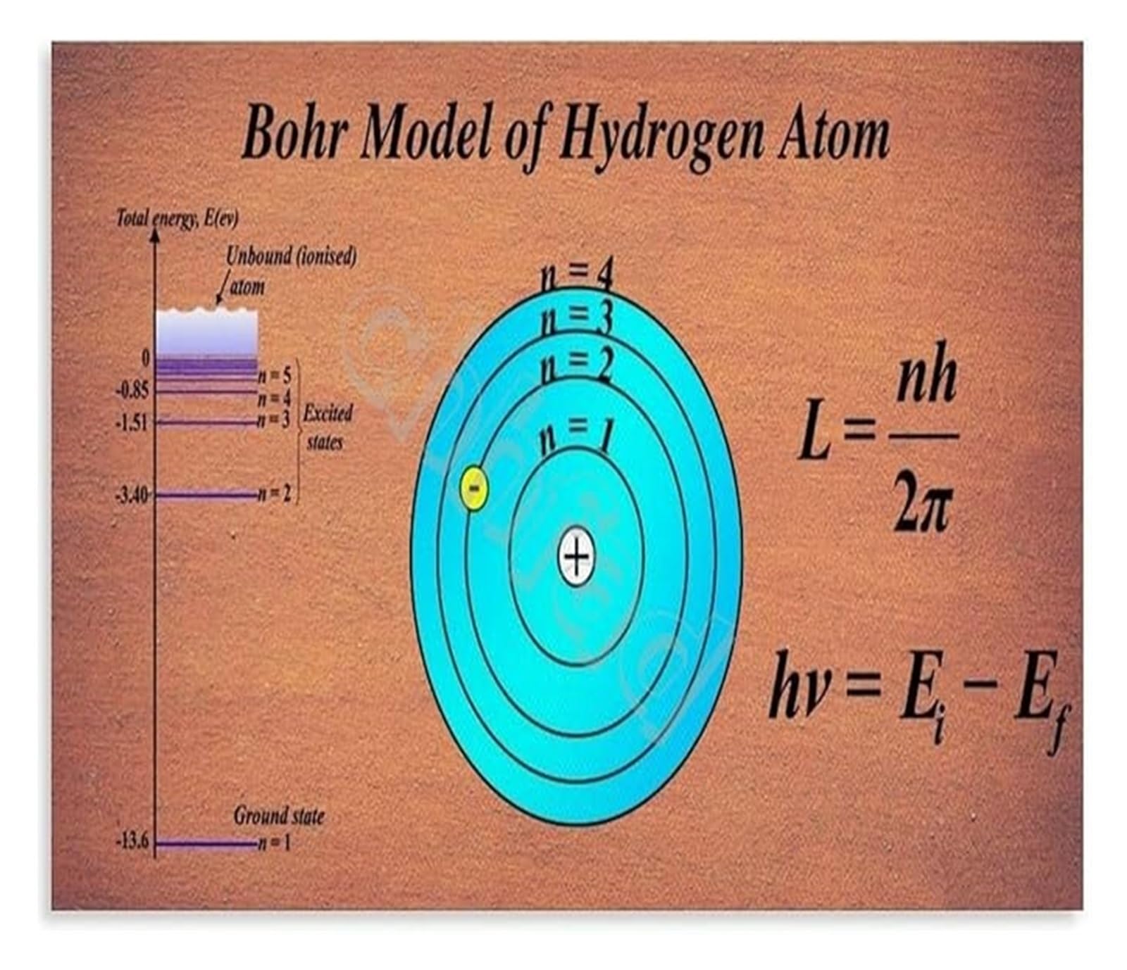 PKNVKZIDK Bohr Atomic Model of Hydrogen Educational Science Poster Diagram for Chemistry and Physics Study Reference Unframed,16x24inch(40x60cm)