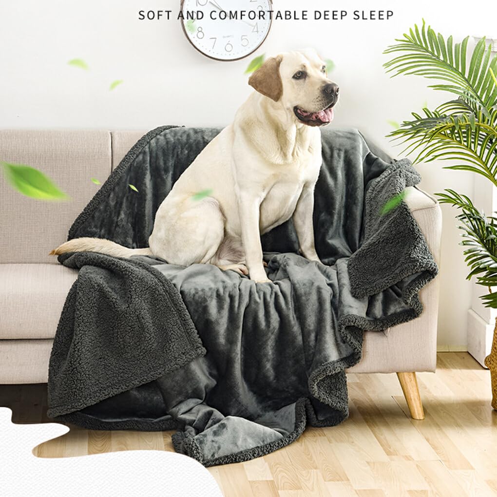Manta suave y cómoda para mascotas, para perros y gatos, varios tamaños disponibles, manta impermeable para perros, manta para Gato, Café XL