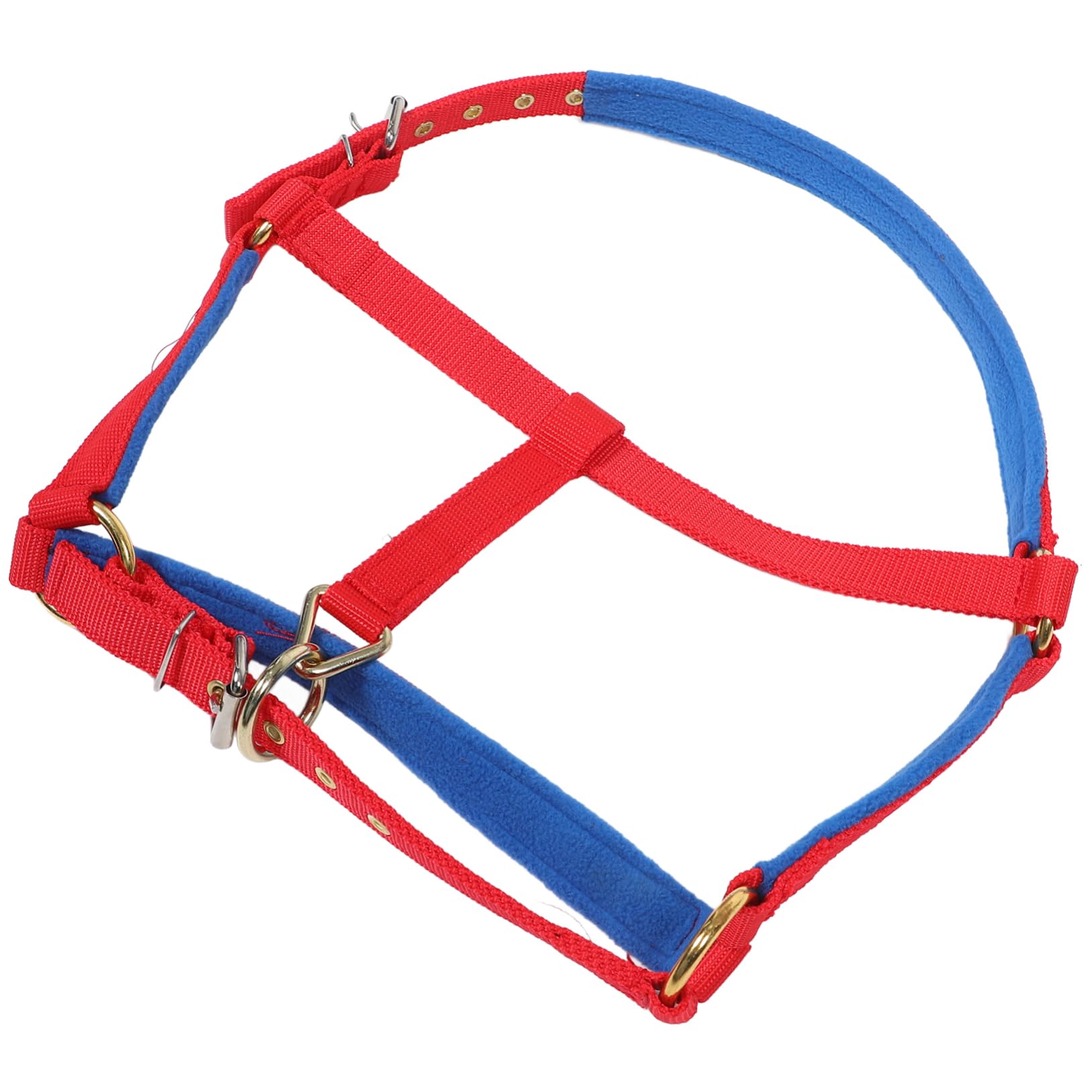 Protector ajustable KOMBIUDA para entrenamiento ecuestre y seguridad de jinetes