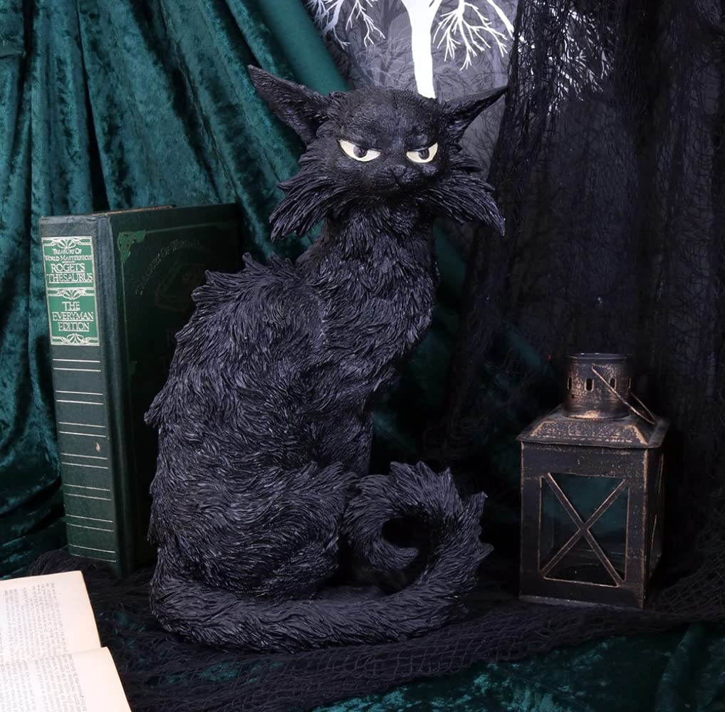 Amazon.com: Nemesis Now Salem Witch Familiar Black Cat Figurine