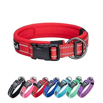 Amazon.com : EXCELLENT ELITE SPANKER Reflective Dog Collar