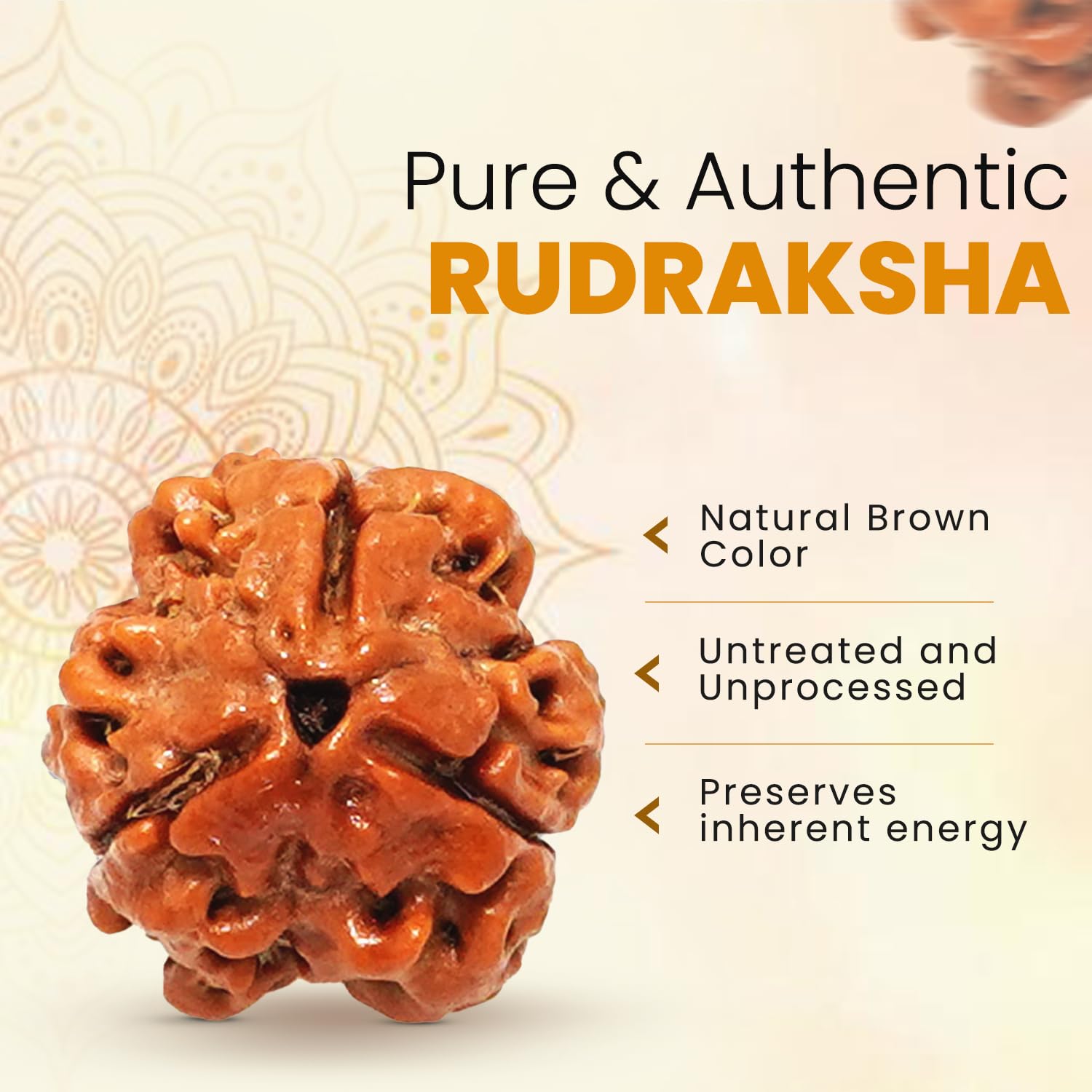 PUSHKARA NATURAL 3 MUKHI RUDRAKSHA CERTIFIED - NEPAL | BROWN | PJTL3M01 3