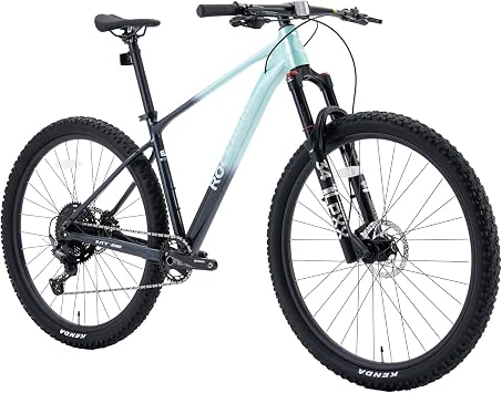 ROCKBROS 29 Inch Mountain Bike, Shimano Deore 12-Speed, Hydraulic Brakes