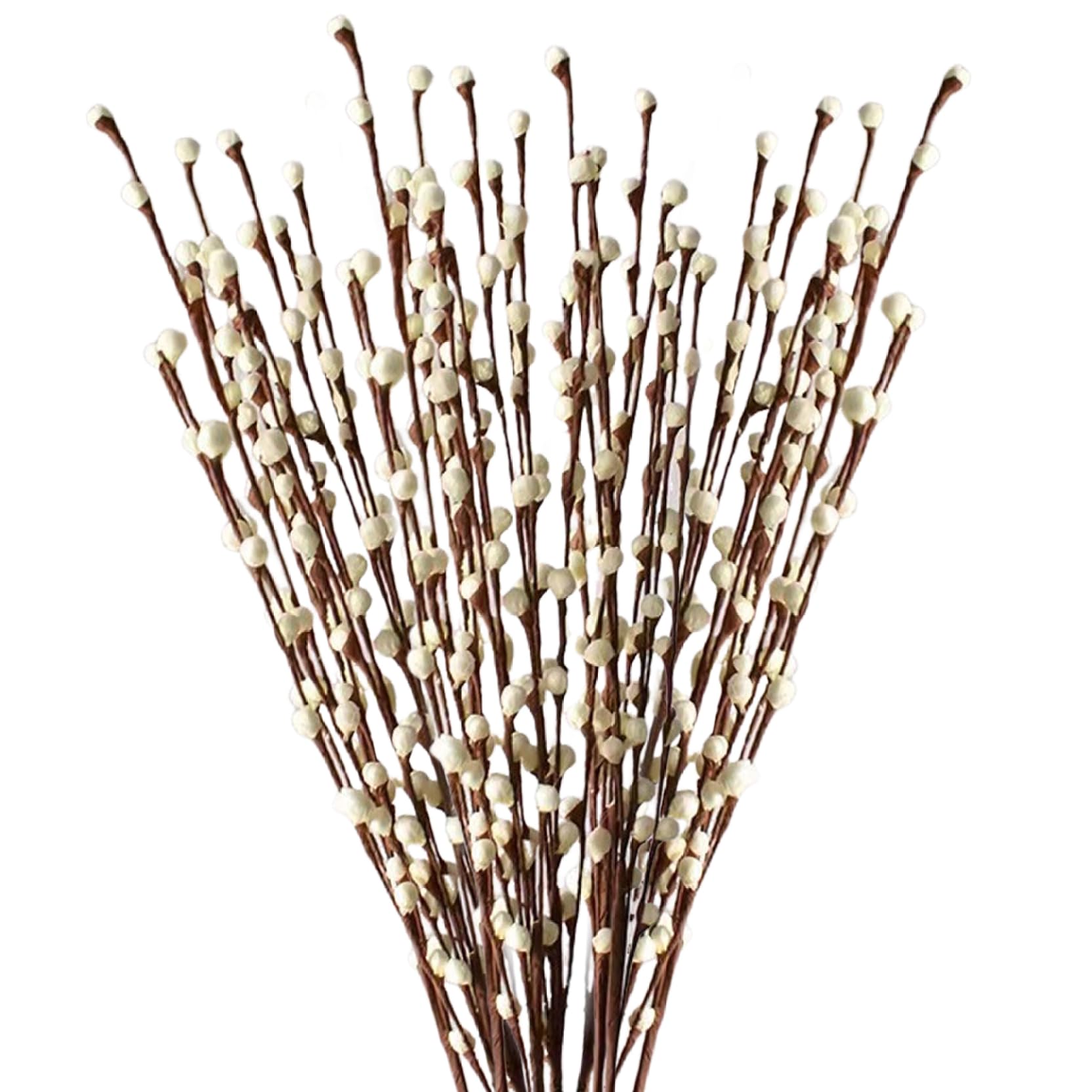 Branches de saule chatte pour vases de salon et décoration de table de bureau moderne