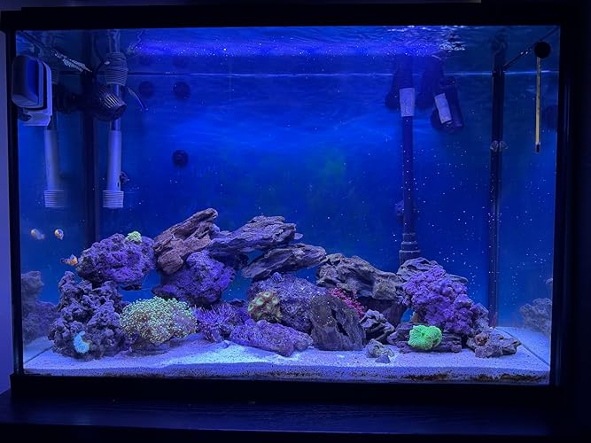 Amazon | AquaIllumination AI NERO ワイヤレス 3 水中ウェーブポンプ