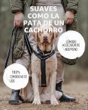 Ver la foto 2