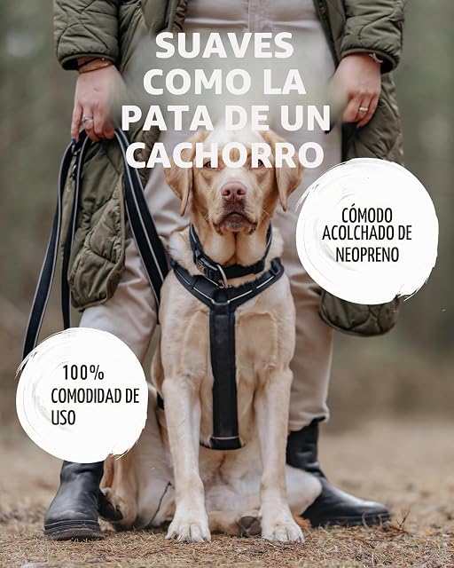 Foto 2 de 6 de Rudelkönig Arnés para Perro Paola - Acolchado Reflectante con Asa
