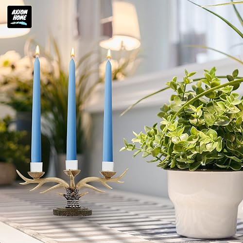 Miniatura 81 de Axiom Candles Velas altas sin goteo de 10 pulgadas sin perfume y sin humo, 9 horas de tiempo de combustión, velas cónicas para el hogar, cenas