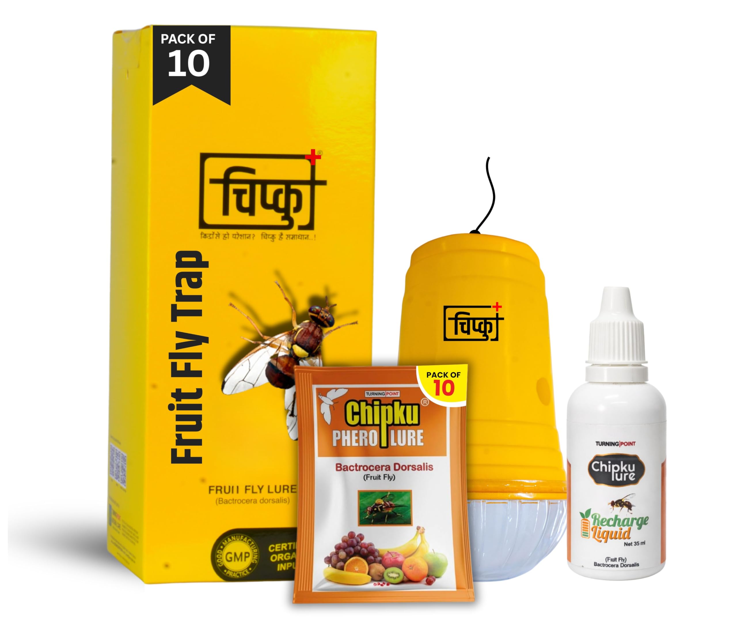 Chipku - Fruit Fly Lure/pheromone Fruit Fly Lure bactocera dorsalis for Farming Fruit Fly Pack of 10 Lures With Fruit Fly attractant liquid methylr eugenol 25 ml-image-34