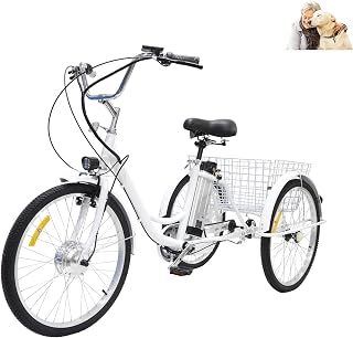 Amazon.it: triciclo elettrico per adulti