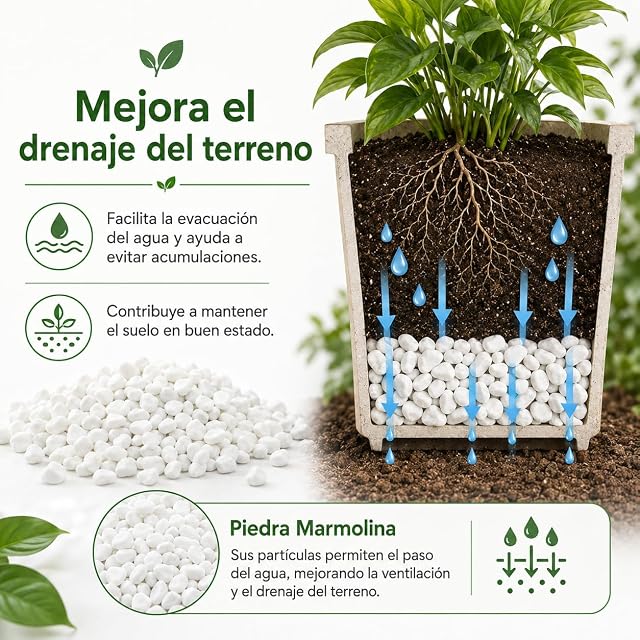 Foto 5 de 8 de flonatur Piedras Blancas para Jardin y Terratios