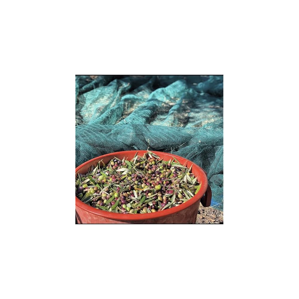 Culterra Knoblauch Oel Premium Mit Extra Nativem Olivenoel Aus Kreta Kaltgepresst Und Naturbelassen Aus 100 Koroneiki Oliven Aus Kreta 250ml Knoblauchoel Flasche