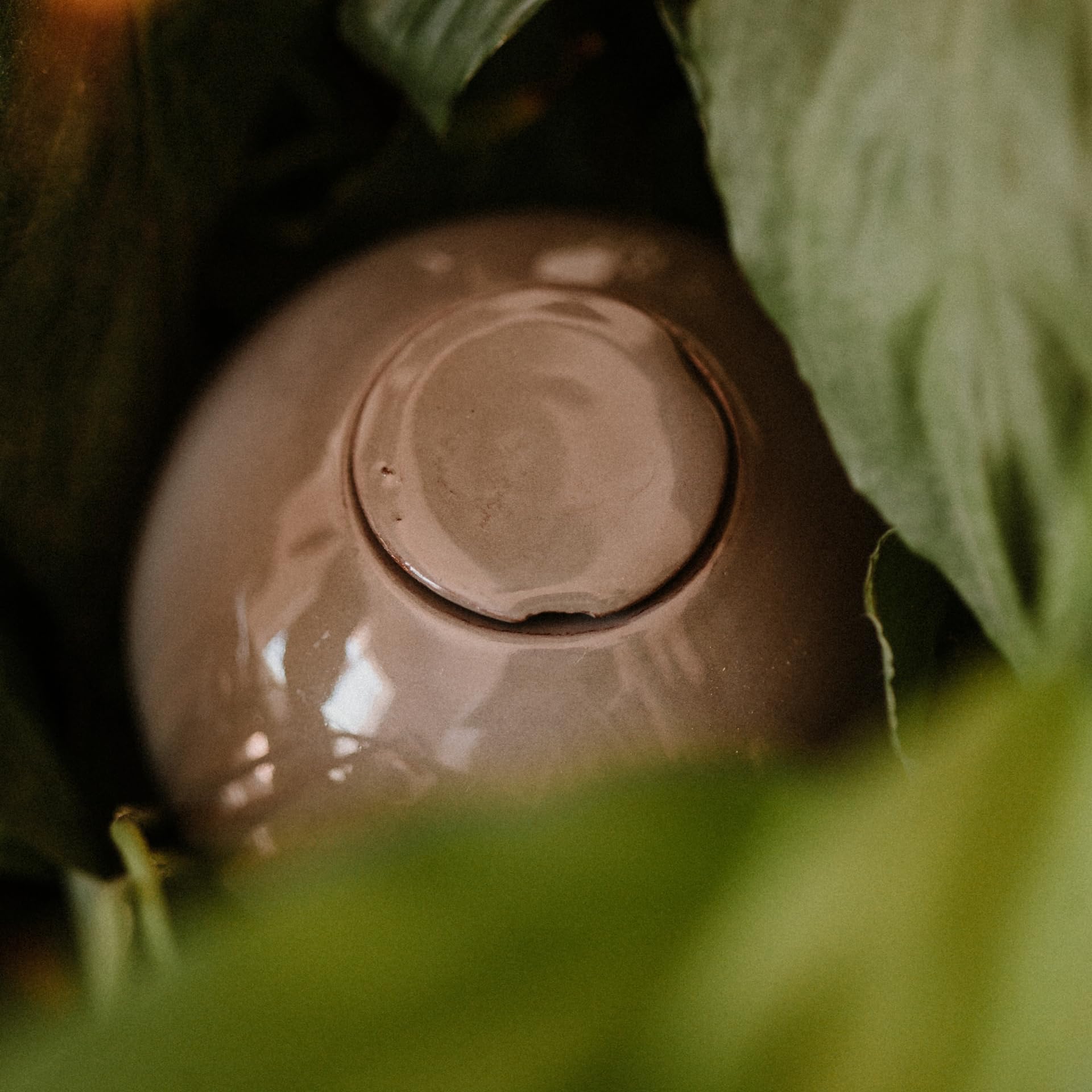 OLLAS LUTTON Olla Terracota para Plantar 25 cl | Riego automático y ecológico para Plantas de Interior y Exterior | Sistema de riego Natural | Autonomía 2 días | OYA Gris