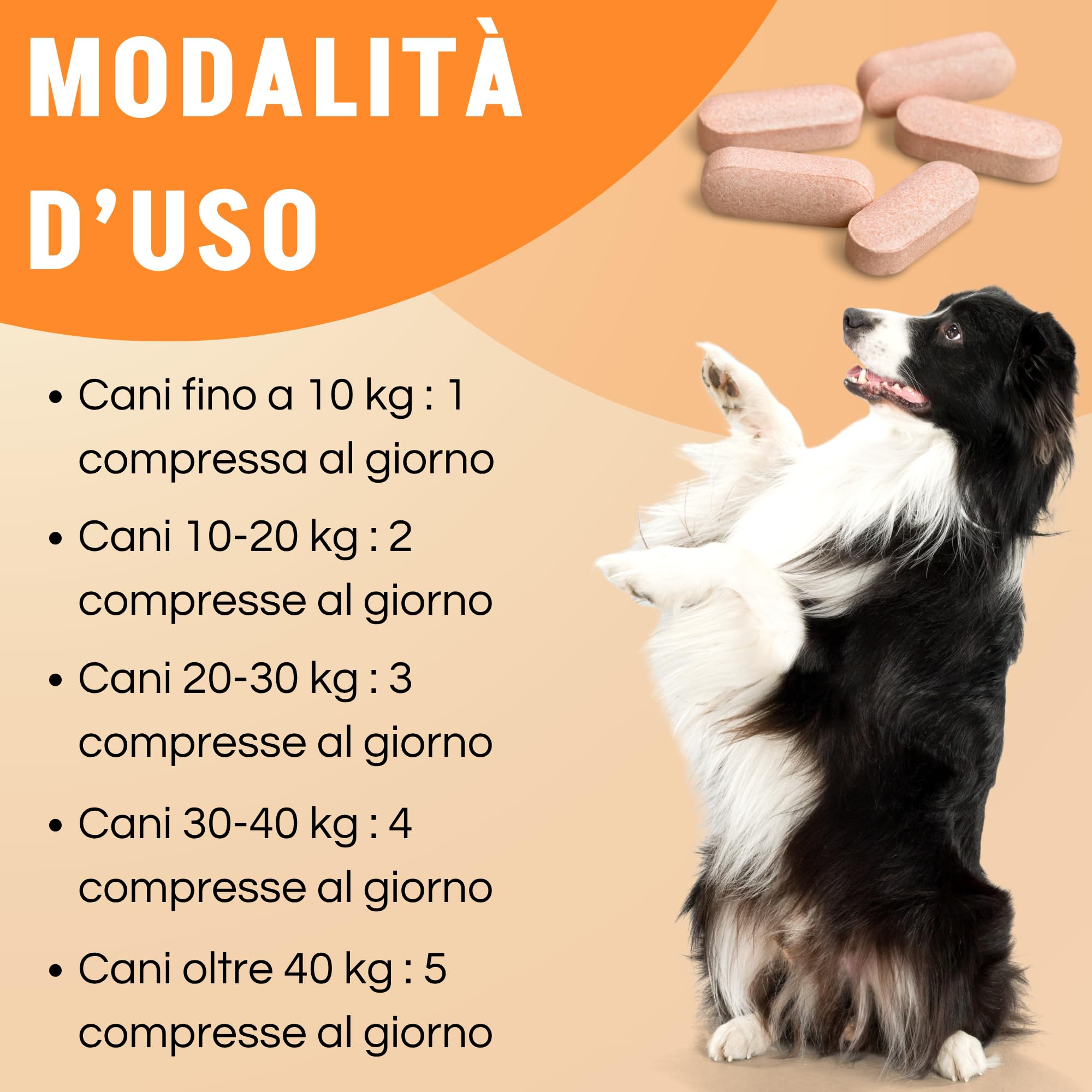 Motix Puppy Suplement stawów dla psów - 100 tabletek 1000 mg - Hydrolizowany kolagen Petagile i Glukozamina - wspomaganie wzrostu i mobilności, witaminy C/E i niezbędne minerały