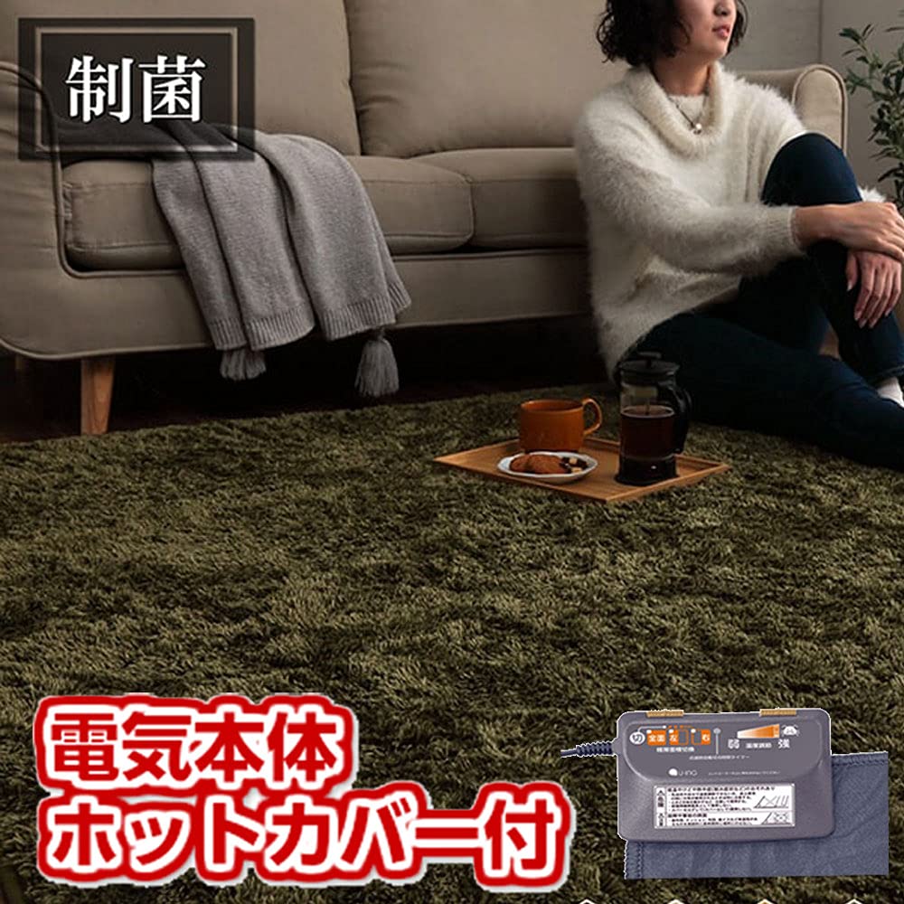 電気カーペット２畳 洗えるカバー付き モリタ ノームグリーン 71wWPCQHKCL._UF894,1000_QL80_.jpg