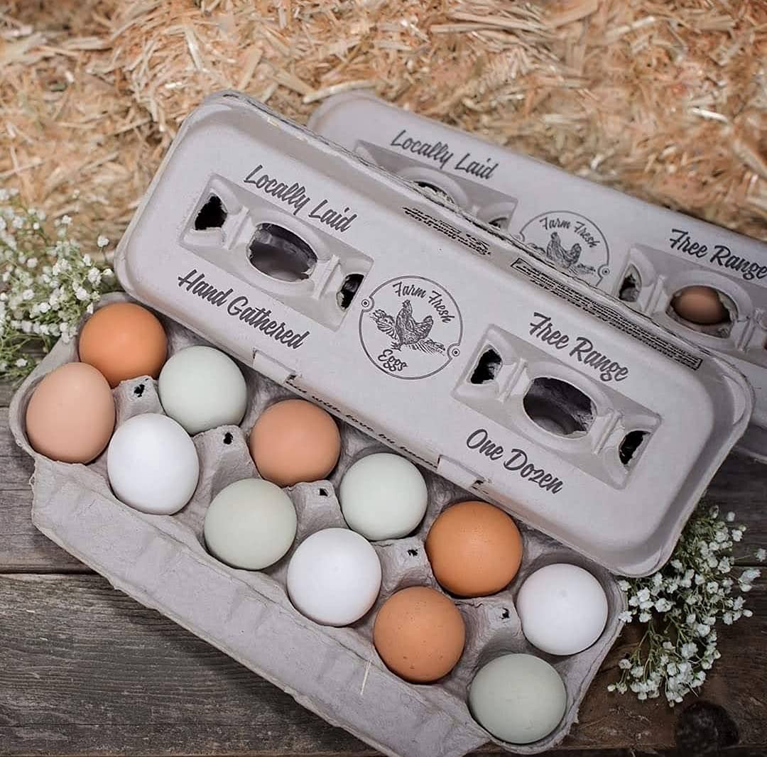 Buy Egg Cartons Vintage Design for your Locally Laid Farm Fresh Eggs