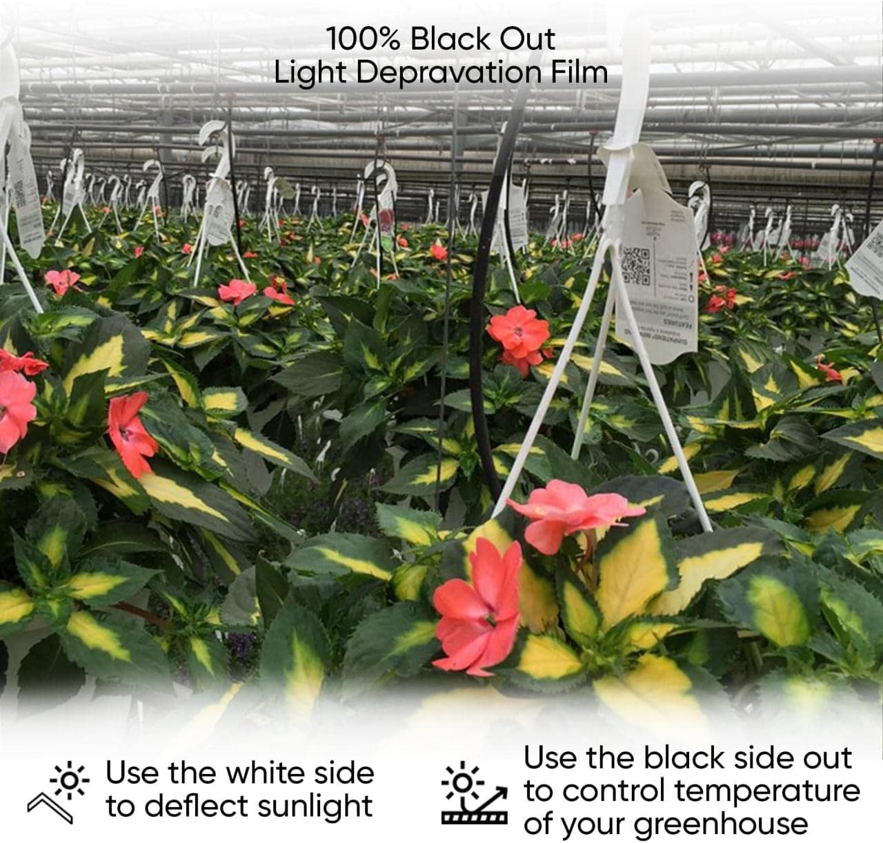 Black & White Light Deprivation Greenhouse Panda Film Blackout Tarp Woven Polyethylene Cover for Greenhouses, 9 Mil Thick Covering, 32' x100'