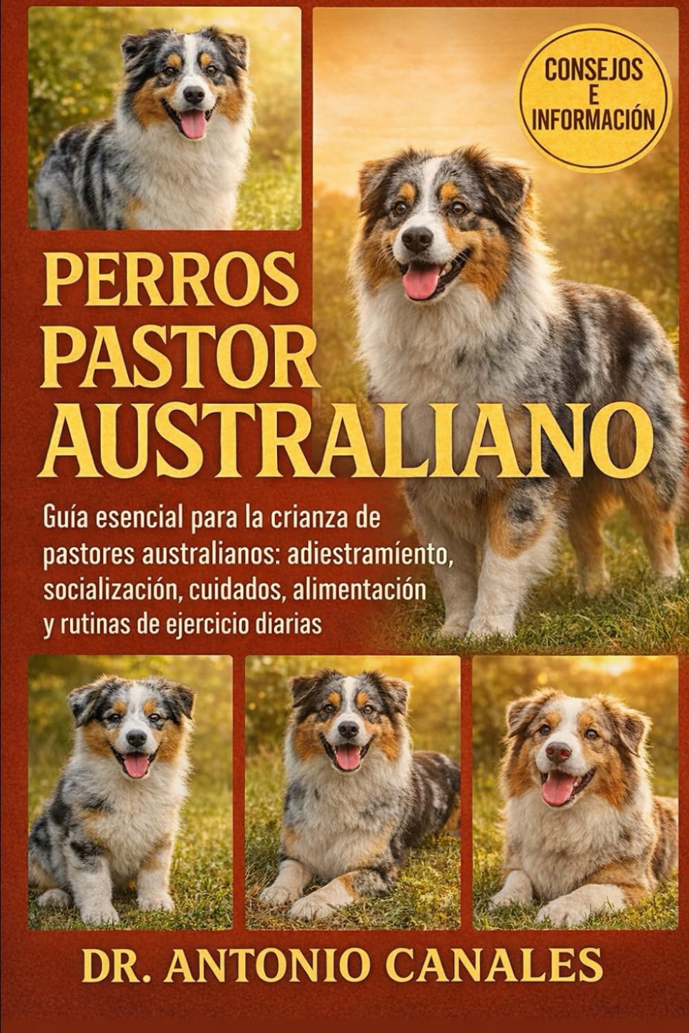PERROS PASTOR AUSTRALIANO: Guía esencial para la crianza de pastores australianos: adiestramiento, socialización, cuidados, alimentación y rutinas de ejercicio diarias