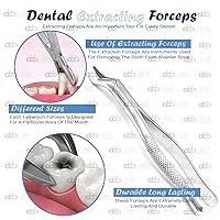 Vista 5 de 1 pinza de extracción dental de grado operatorio prémium #53L para instrumentos superiores MOLARS lado izquierdo (calidad DDP)
