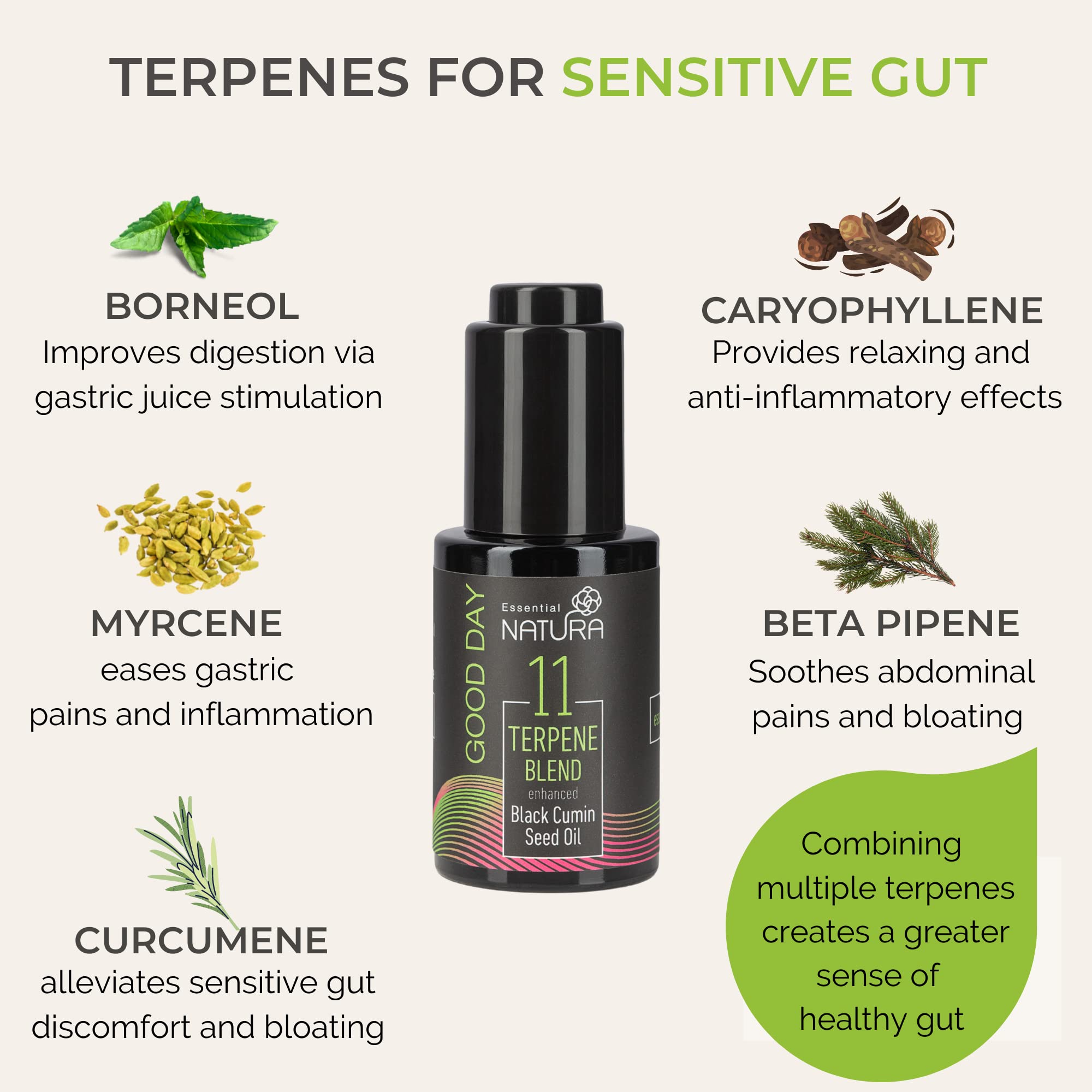 Gut Aid for Digestion, Bloating & Pain Relief 30ml NonGMO, Plant