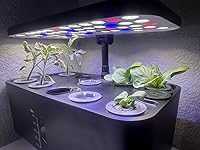 Review Image by Victoria Goodman-McAdams Victoria Goodman-McAdams