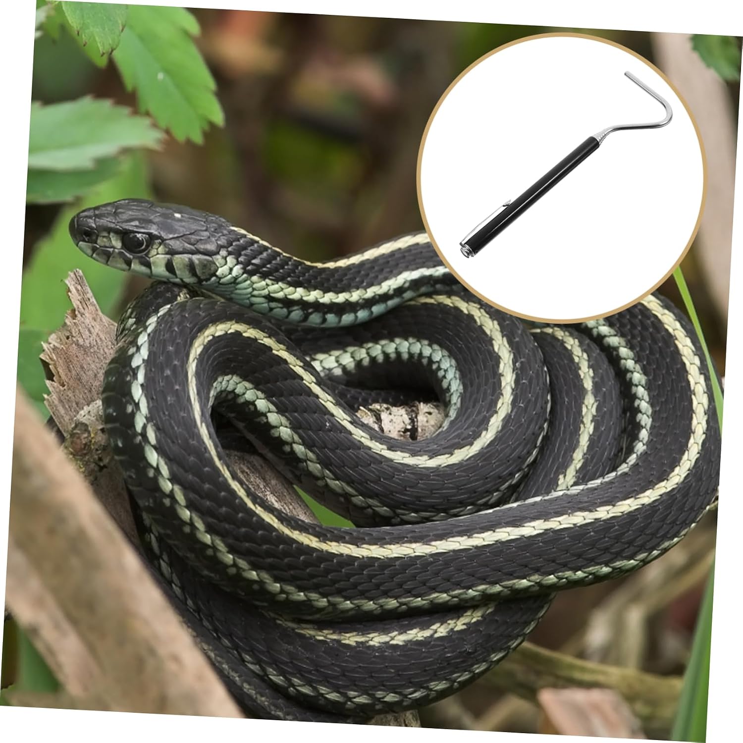 Levemolo Portable Reptile Catching Hook Extension Snake Hook Made of Durable Stainless Steel