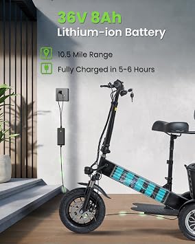 3 Wheel Electric Mobility Scooter for Adults with Low Step-Through Frame