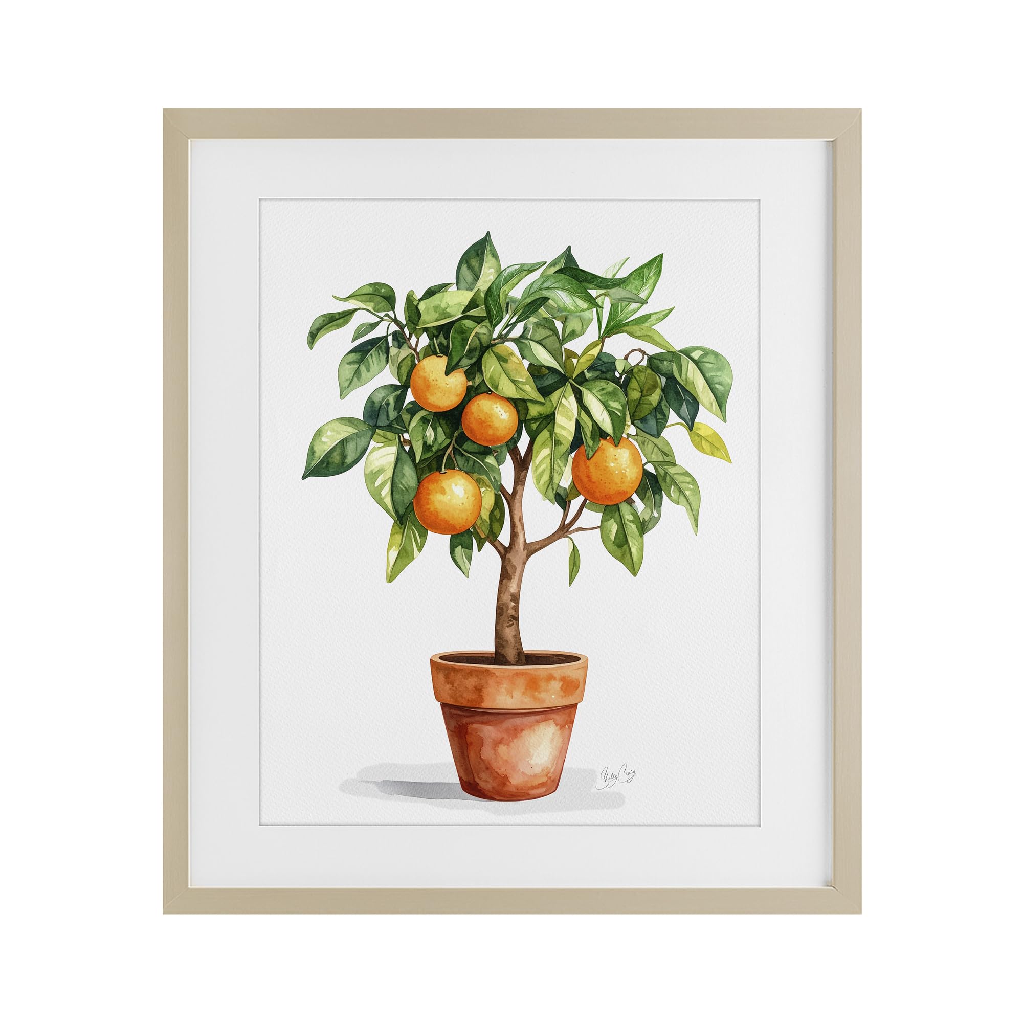 Stupell Industries Harvest Pine (Textured) Potted Orange Tree Botanical, 17 X 21 Inch Framed Print Under Glass