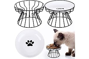 Rtteri Whisker Friendly Anti-Vomit Elevated Cat Plate Set