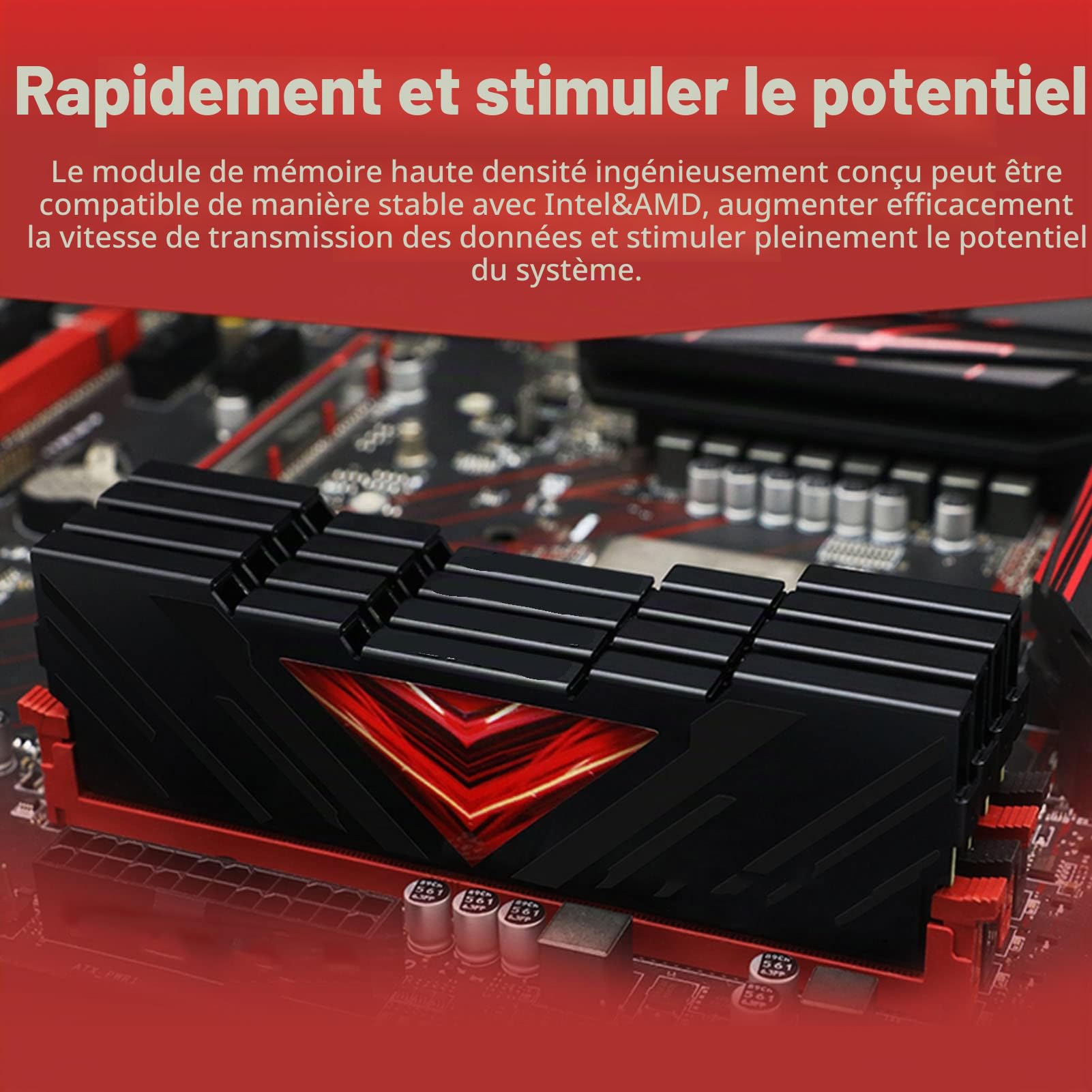 16 Go de RAM DDR5 4 800 MHz, Mémoire de Bureau 1,1 V avec Boîtier Métallique à Dissipation Thermique Efficace, Prend en Charge XMP 3.0 et Expo pour des Performances Maximales (Black)