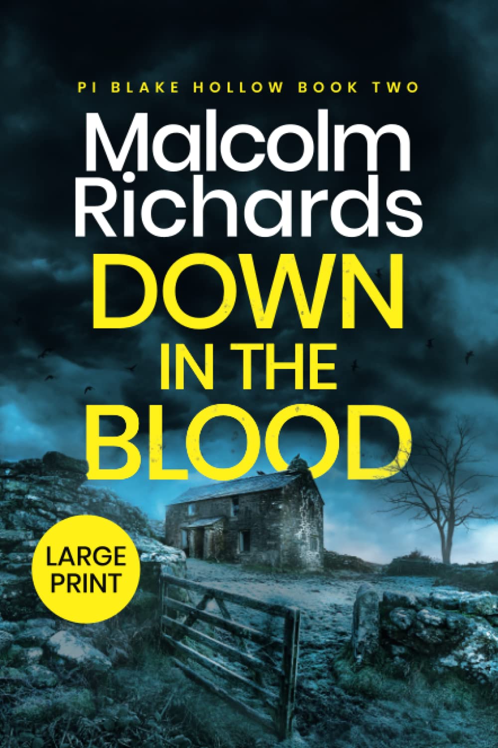 Down in the Blood: Large Print Edition: 2 (Private Investigator Blake Hollow)