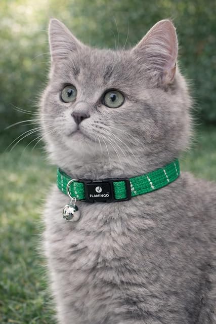 Collar Gato - Gatito Elza Verde 15–22 cm - Nylon elástico Reflectante con Cascabel