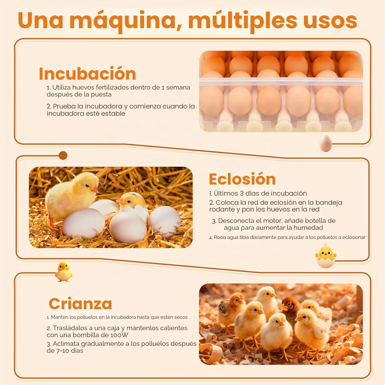 Incubadora completamente automática de 36 huevos, incubadora con 5 modos de incubación automáticos, control de temperatura, giro automático de huevos cada 90 minutos, llenado automático de agua y