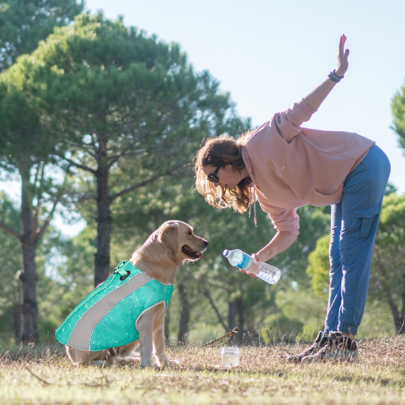 2 en 1 Manteau d'hiver pour Chien et Gilet rafraîchissant pour Chien, Veste de Harnais améliorée, Manteau rafraîchissant évaporatif Respirant pour Chiens pour Petits, Moyens et Grands Chiens