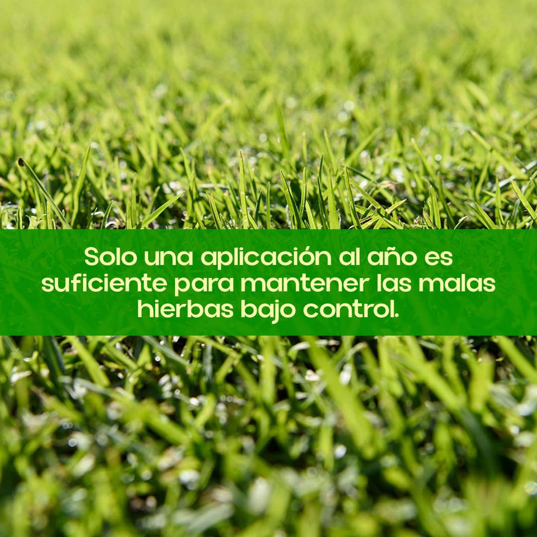 Herbicida Selectivo Contra Malas Hierbas de Césped y Hoja Ancha HERBICLAIR | Fluroxipir 20% p/v | Envase Concentrado 100 ml | Cobertura hasta 1000 m² | Control Post-Emergencia | Nexum Market