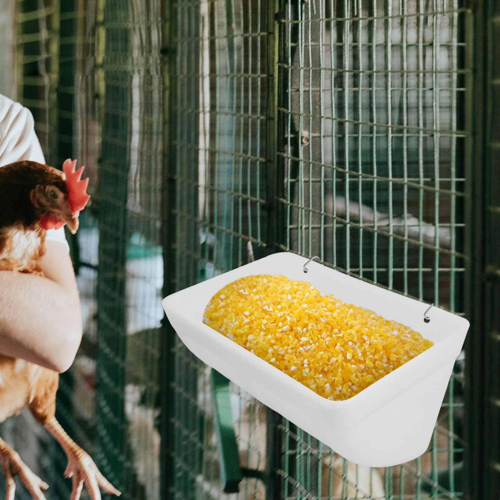ibasenice Mangeoires à Poulets en Plastique Lot de 2 Récipient d'alimentation pour Poussins et Abreuvoir pour Volailles Usage Extérieur