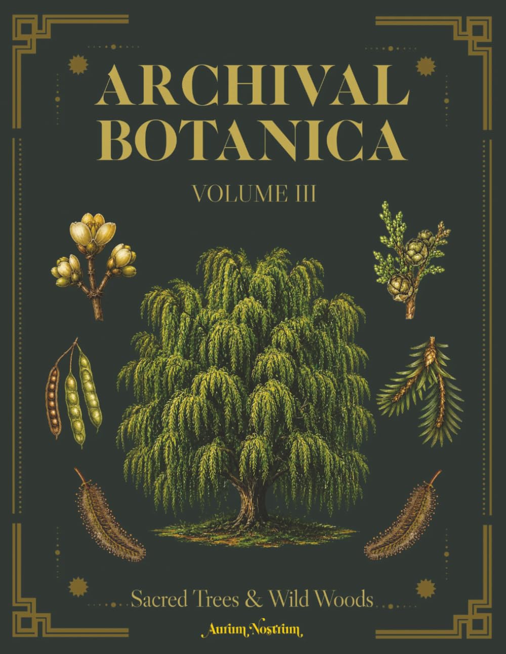 Archival Botanica Volume III: Sacred Trees & Wild Woods: A Botanical Coloring Book with Herbarium-Style Plates and Specimen Labels