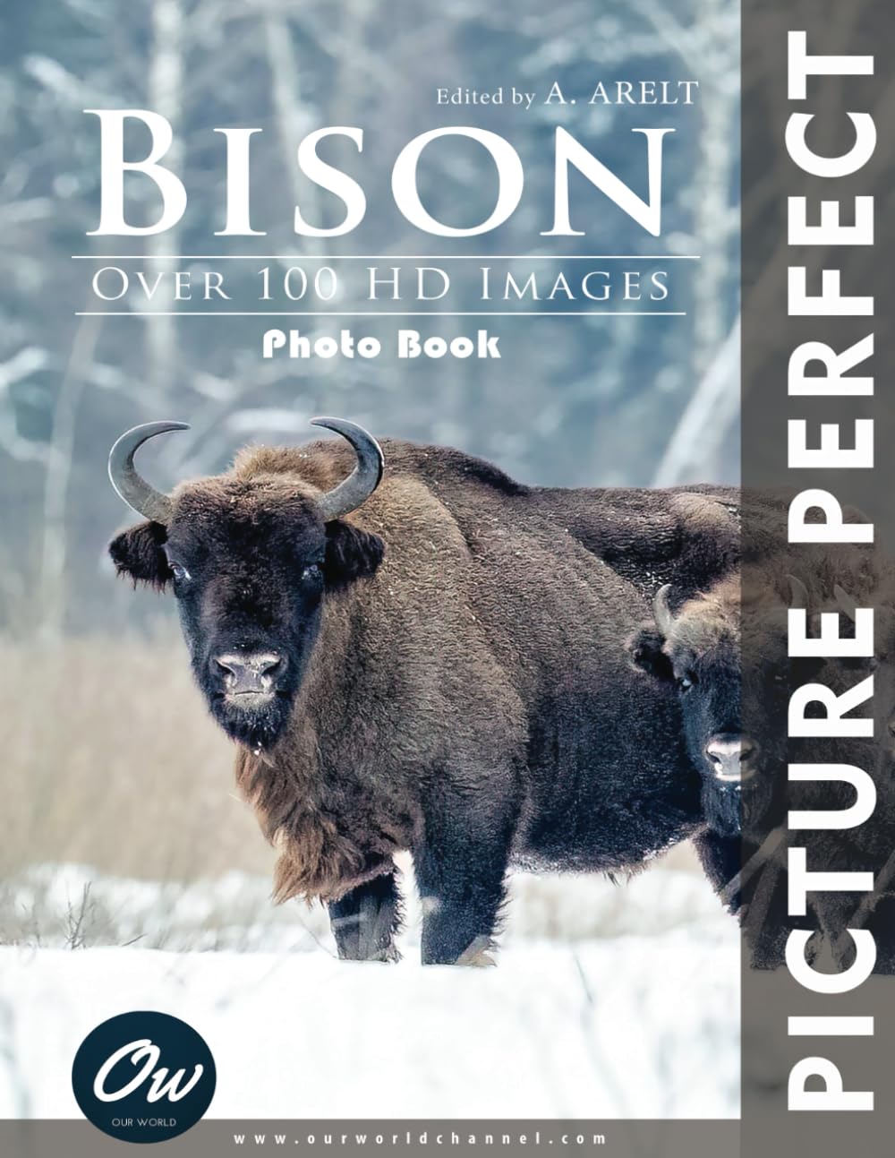 Bison: Perfect Picture Photo Book (Picture Perfect Photo Book)