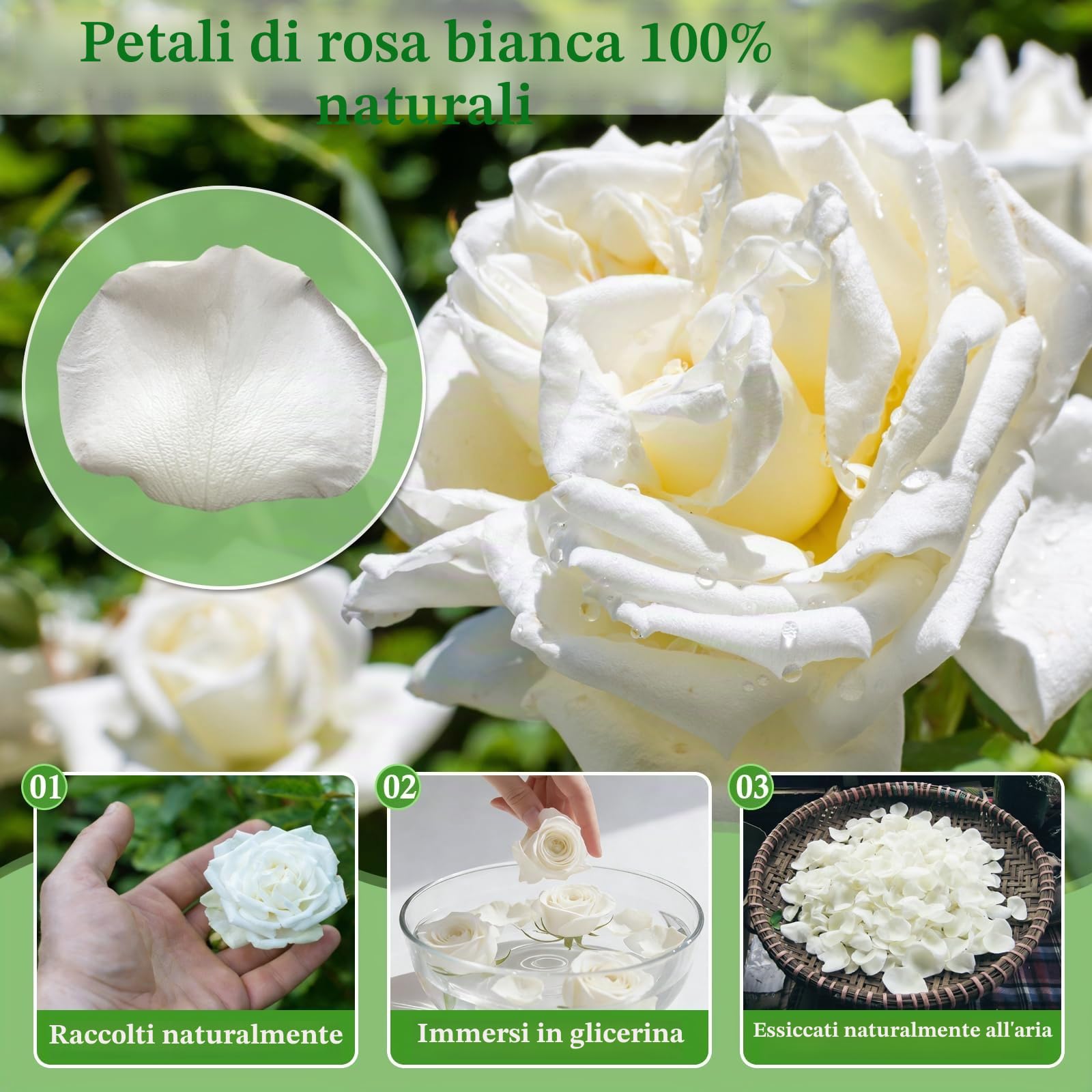 Eslibin 500+ petali di rosa bianchi veri, 130 g, petali di fiori bianchi conservati per matrimoni, petali di fiori secchi per baby shower, feste nuziali, decorazione da spargere sulla tavola