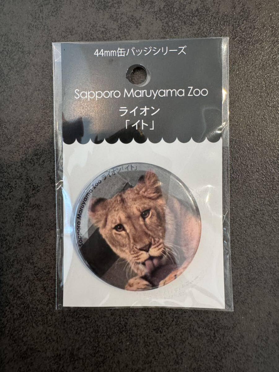 Amazon.co.jp: 円山動物園オフィシャルショップ 缶バッヂ44mm ライオン