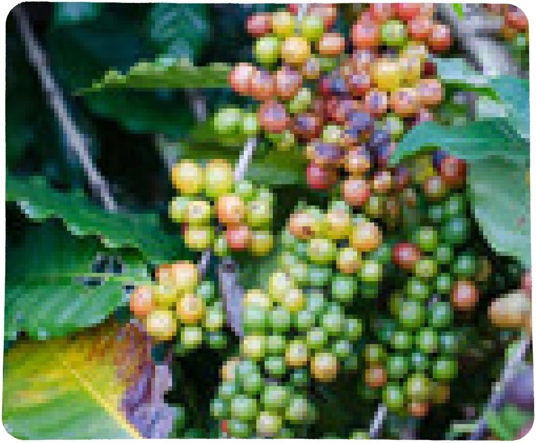 Coffee beans on trees Mousepad rechteckig 23cm x 19 cm