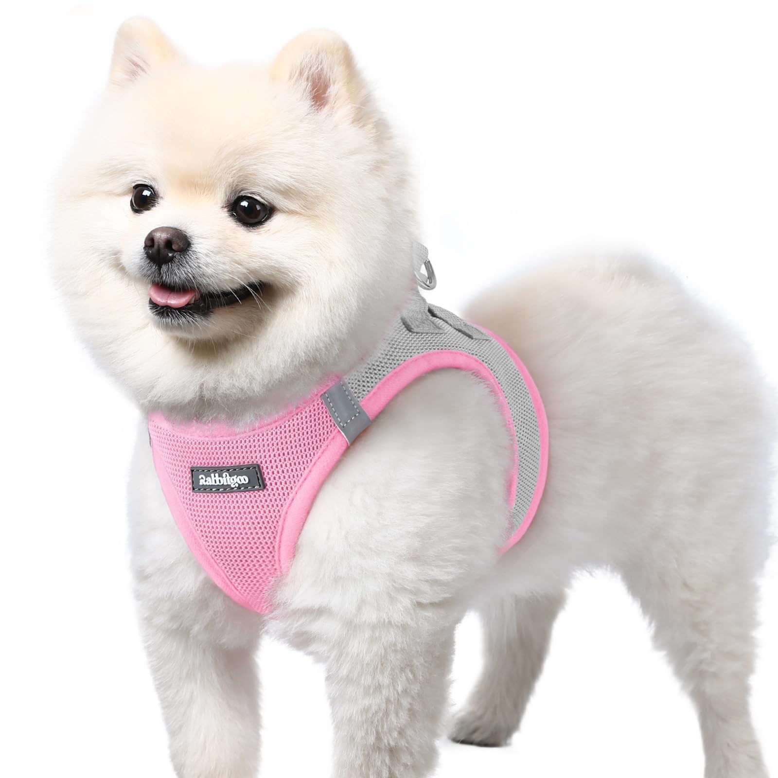 rabbitgoo Dog Harness Small Dog, Step-in Soft Mesh Puppy Harness with Reflective Strips, Lightweight Breathable Pet Vest for Walking Training, Pink & Gray, S