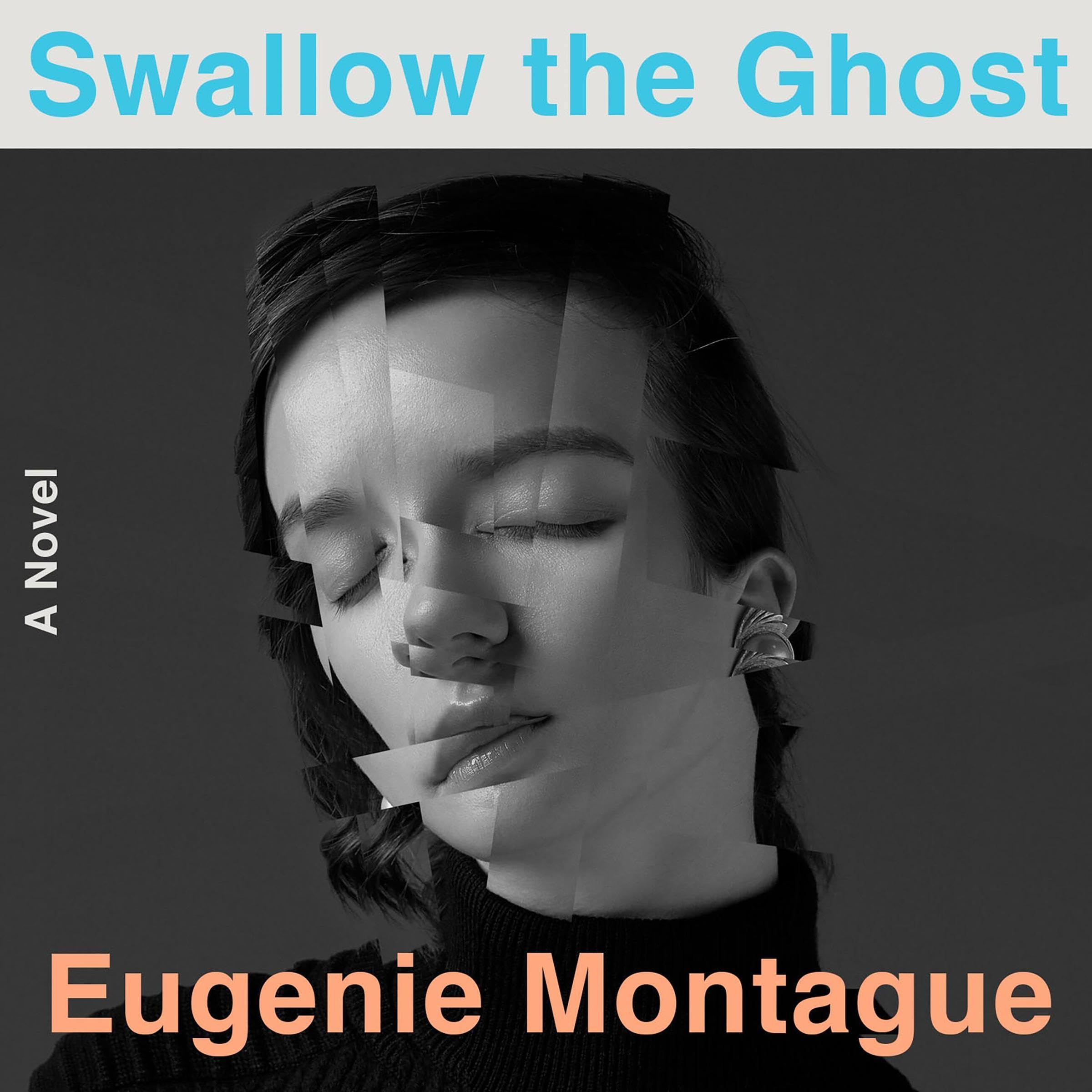 Cover art for Swallow the Ghost