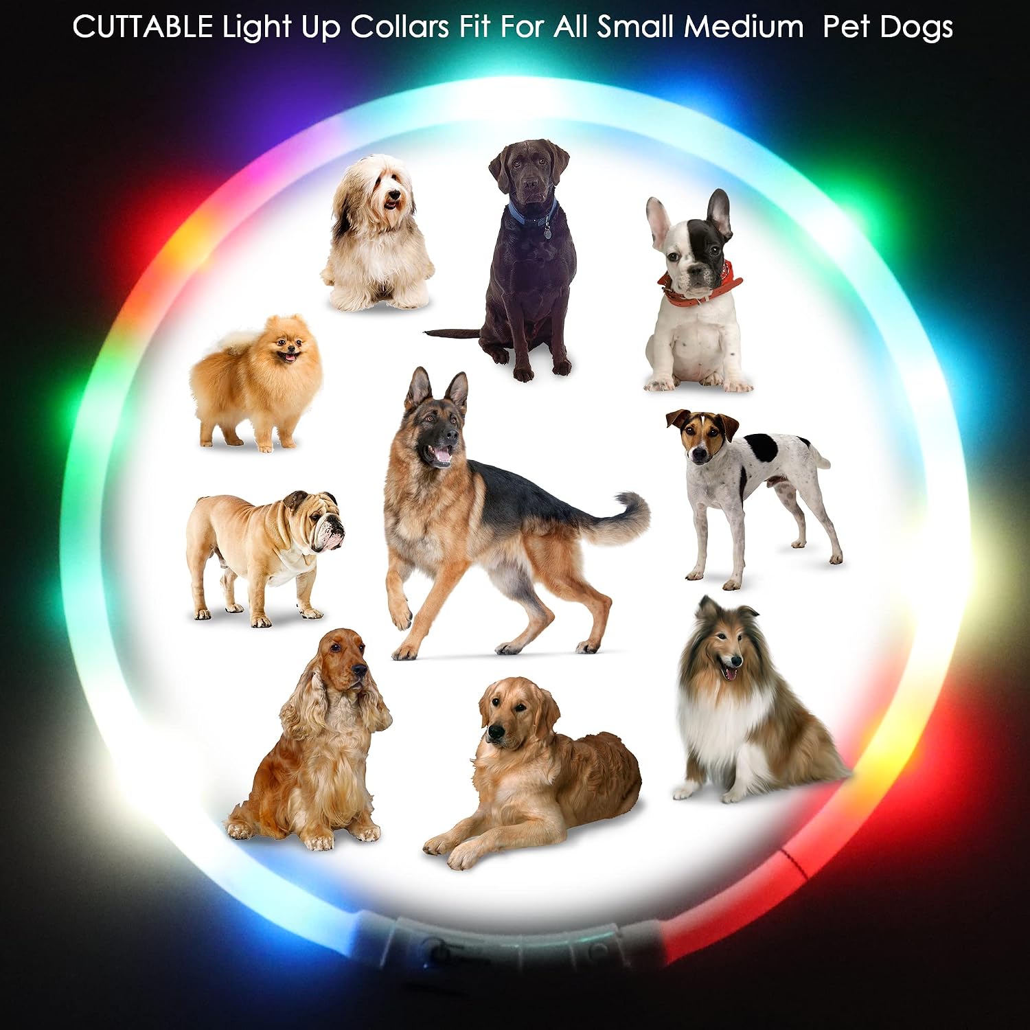 Beaface Light Up Dog Collar, LED Dog Collar USB Rechargeable - Image 3